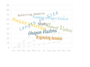 website metrics consultant